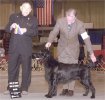 2005 Best Of Breed