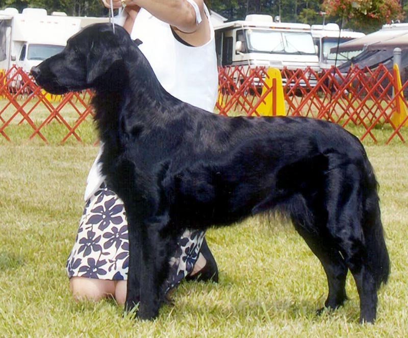 Prue