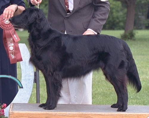 2000 FCRSA National Specialty Sweeps 2nd